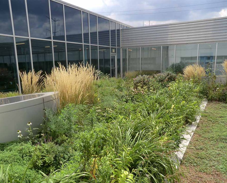 Green Roofs