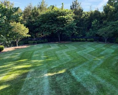 Lawn Care